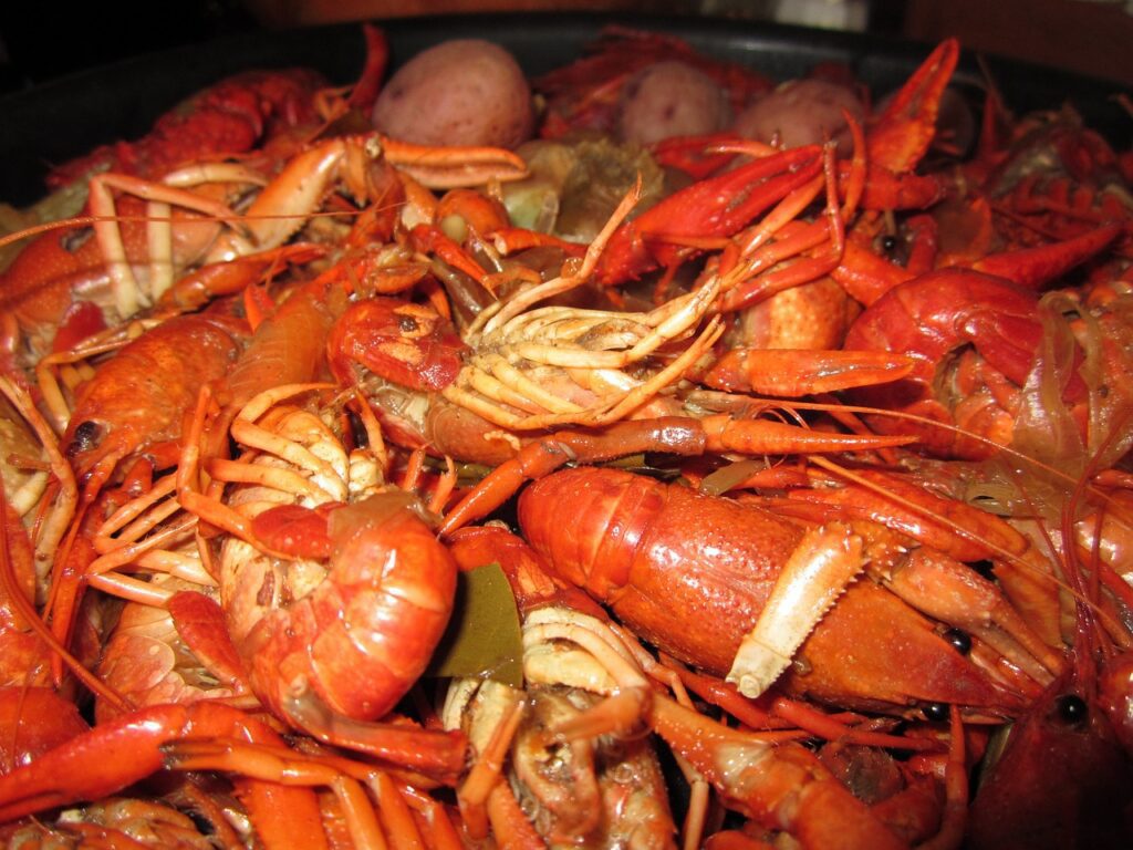southern seafood feast