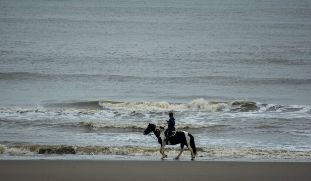 horseback riding on the beach