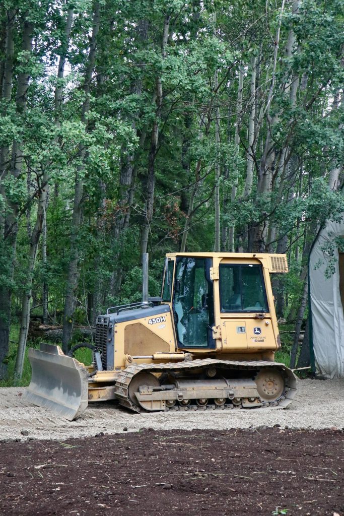 clearing the forest